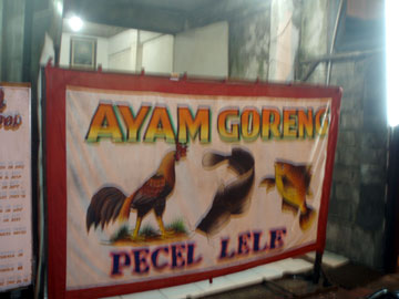 ayam1 ayam1