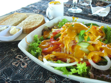 sariorganic-salad sariorganic-salad