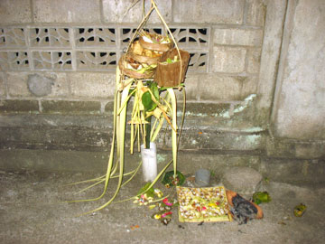 ogo1 ogo1