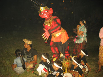 ogo11 ogo11