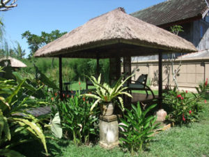 DSCF7737