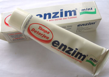 enzim enzim