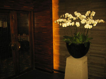 goldenlotus6 goldenlotus6
