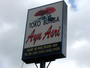 ayuasri6