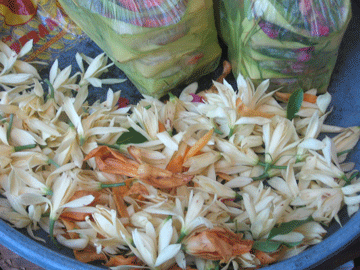 pasar6 pasar6