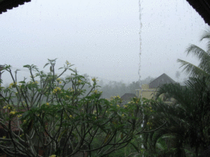 hujanubud1 hujanubud1