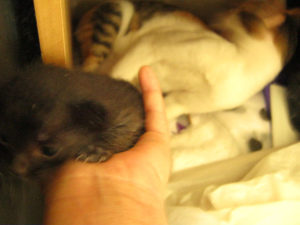 2011041410hari