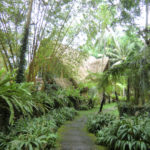 CIMG0650 CIMG0650