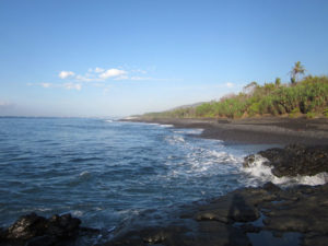 mancing1 mancing1