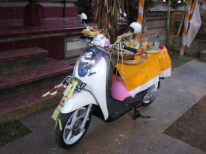 scoopy1