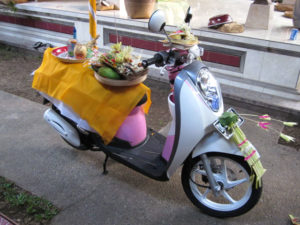 scoopy2