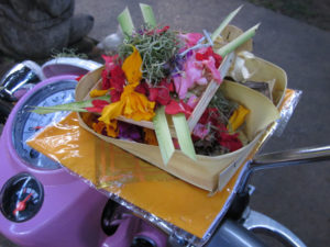 scoopy3