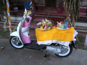 scoopy5