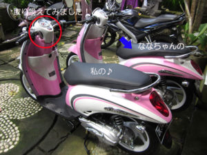 scoopy6