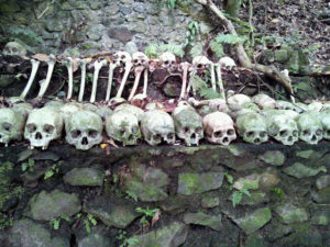 terunyan3