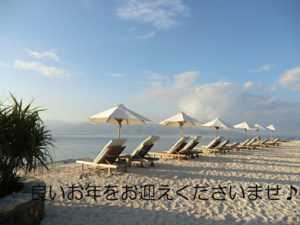 20111231a